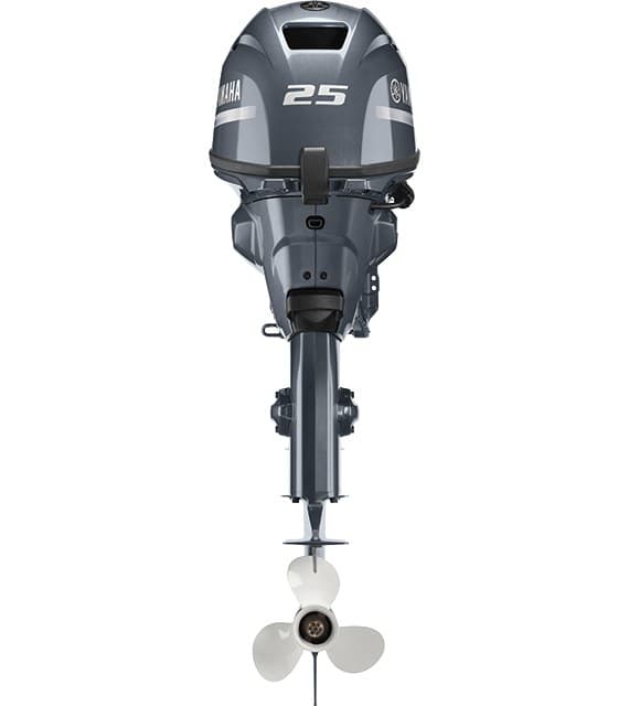 Yamaha F25