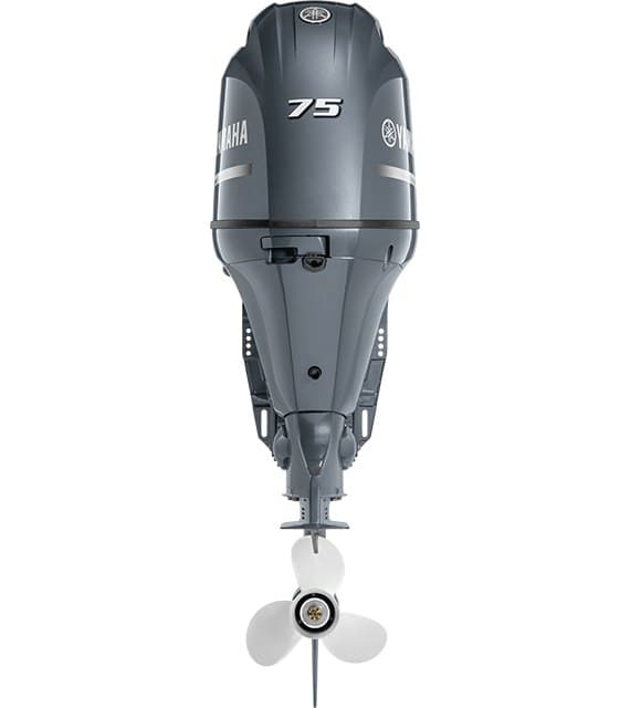 Yamaha F75